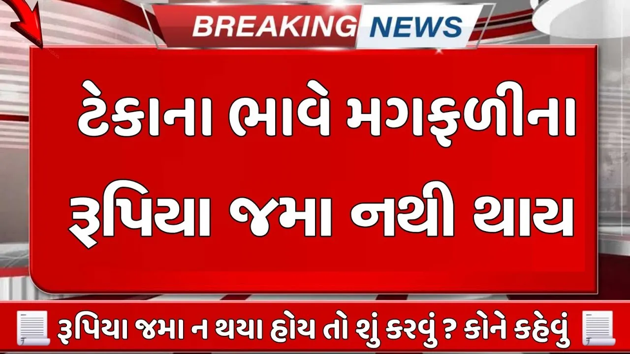 Teka Na Bhave Magfali Payment